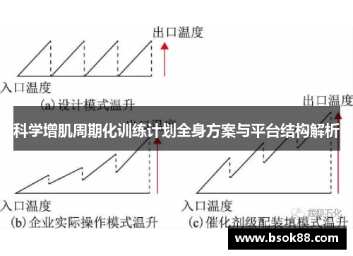 科学增肌周期化训练计划全身方案与平台结构解析